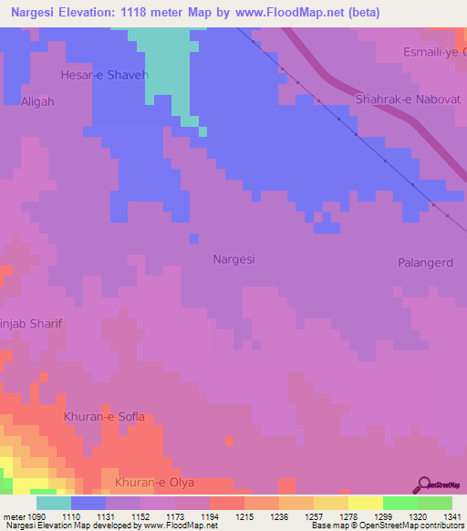 Nargesi,Iran Elevation Map