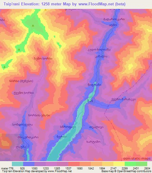 Tsip'rani,Georgia Elevation Map