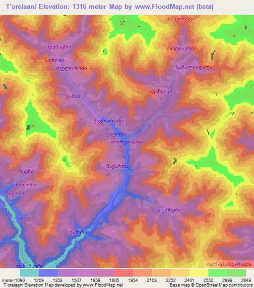 T'orelaani,Georgia Elevation Map