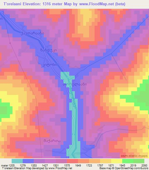 T'orelaani,Georgia Elevation Map