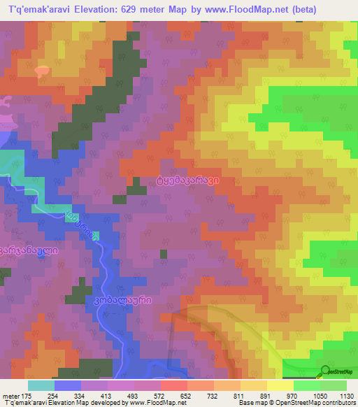 T'q'emak'aravi,Georgia Elevation Map