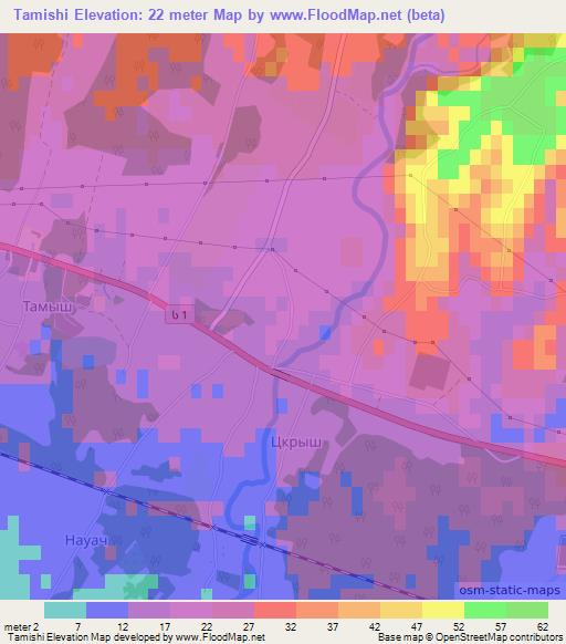 Tamishi,Georgia Elevation Map