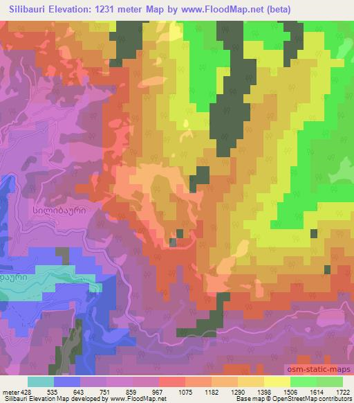 Silibauri,Georgia Elevation Map