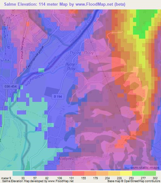 Salme,Georgia Elevation Map
