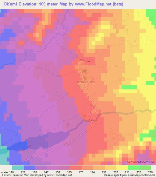 Ok'umi,Georgia Elevation Map