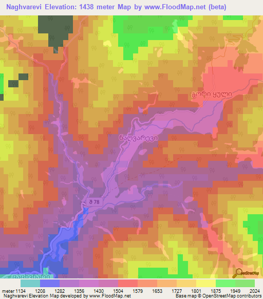 Naghvarevi,Georgia Elevation Map