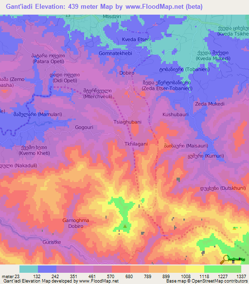 Gant'iadi,Georgia Elevation Map