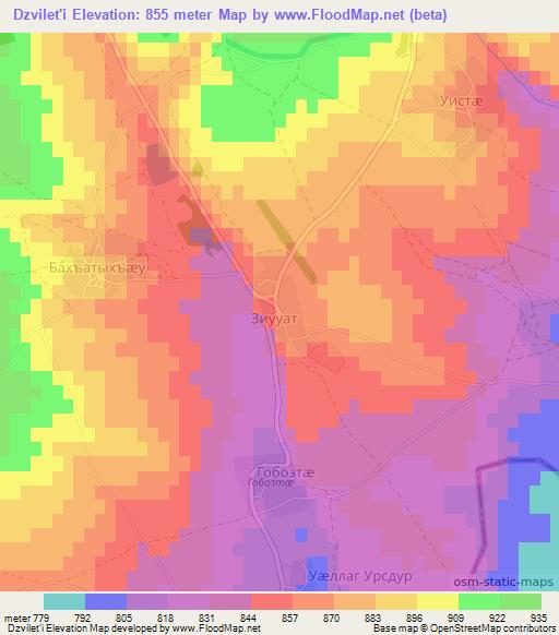 Dzvilet'i,Georgia Elevation Map