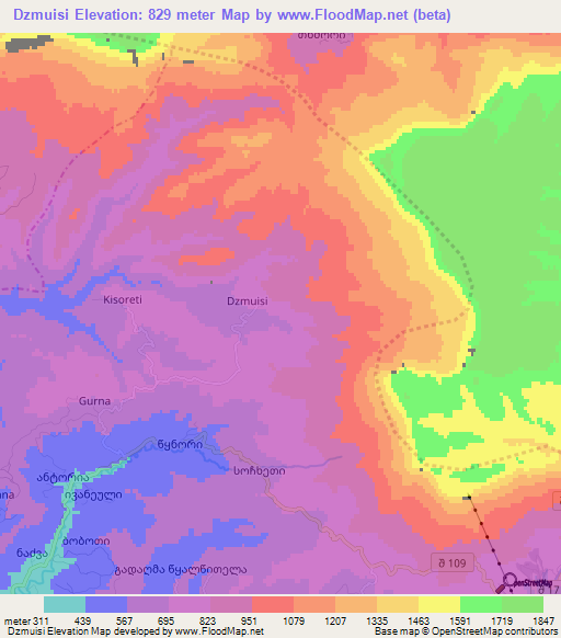 Dzmuisi,Georgia Elevation Map