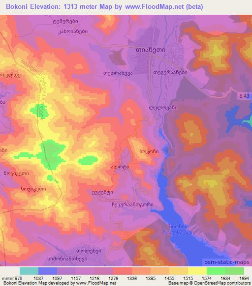 Bokoni,Georgia Elevation Map