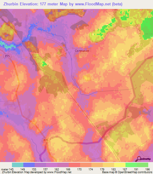 Zhurbin,Belarus Elevation Map