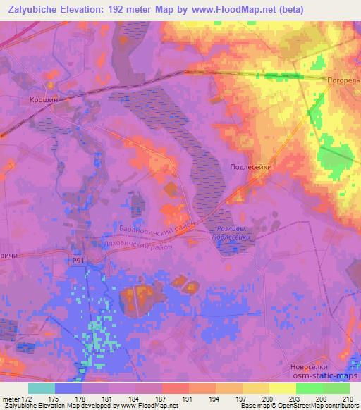 Zalyubiche,Belarus Elevation Map