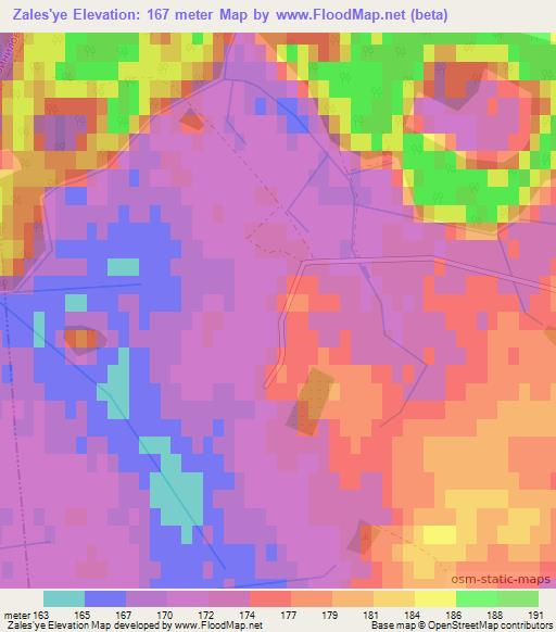Zales'ye,Belarus Elevation Map