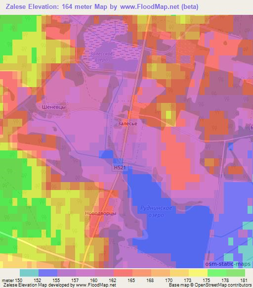 Zalese,Belarus Elevation Map