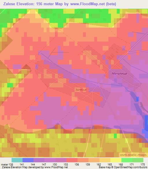 Zalese,Belarus Elevation Map