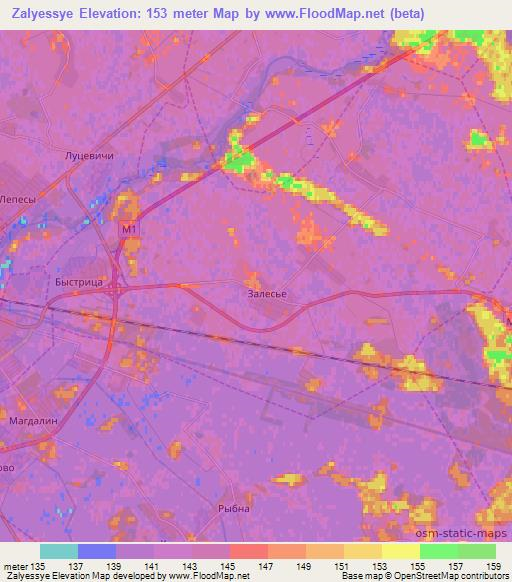Zalyessye,Belarus Elevation Map
