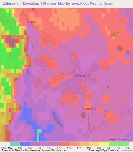 Zalesovichi,Belarus Elevation Map