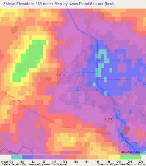 Zalese,Belarus Elevation Map