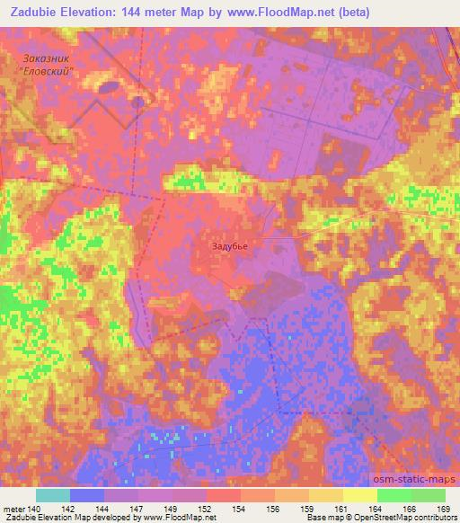 Zadubie,Belarus Elevation Map