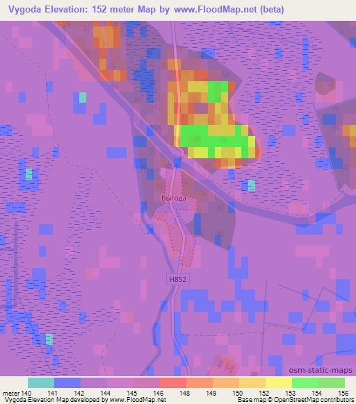 Vygoda,Belarus Elevation Map