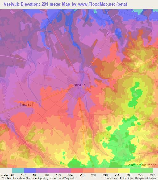 Vselyub,Belarus Elevation Map