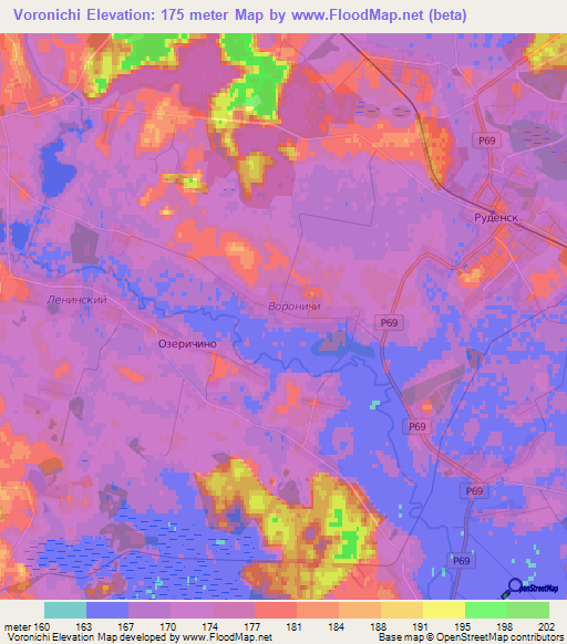 Voronichi,Belarus Elevation Map