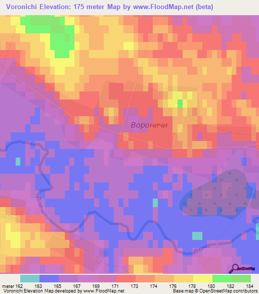 Voronichi,Belarus Elevation Map