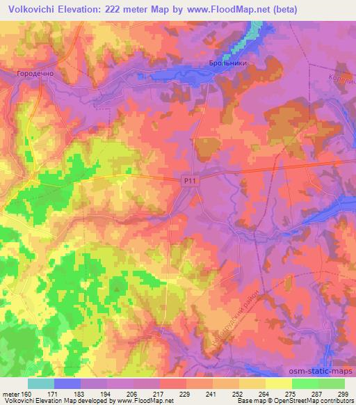 Volkovichi,Belarus Elevation Map
