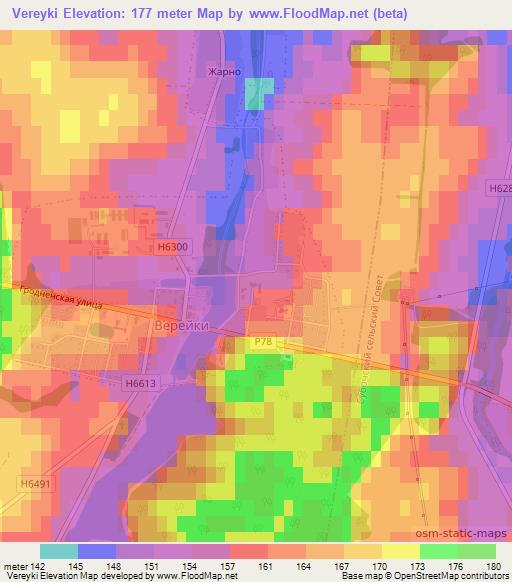 Vereyki,Belarus Elevation Map