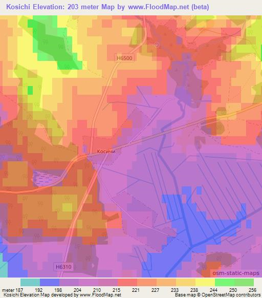Kosichi,Belarus Elevation Map