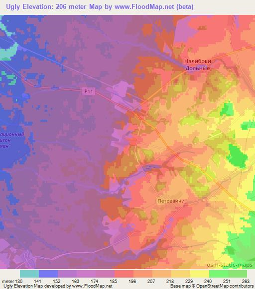 Ugly,Belarus Elevation Map