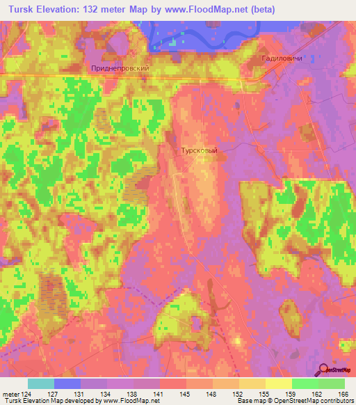 Tursk,Belarus Elevation Map