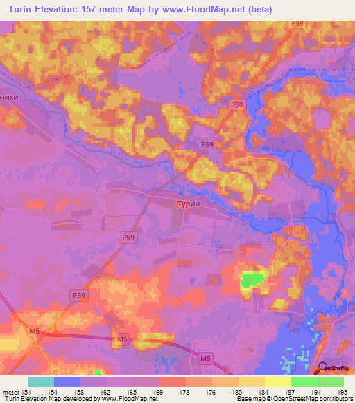 Turin,Belarus Elevation Map