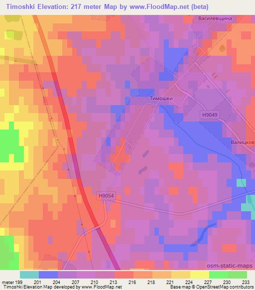 Timoshki,Belarus Elevation Map