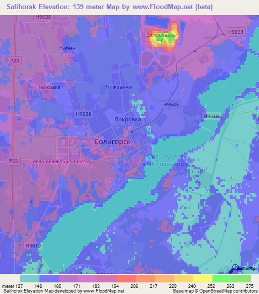 Salihorsk,Belarus Elevation Map