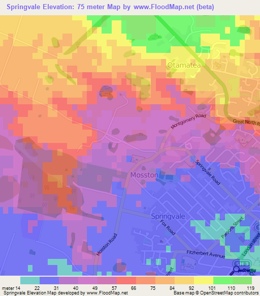 Springvale,New Zealand Elevation Map
