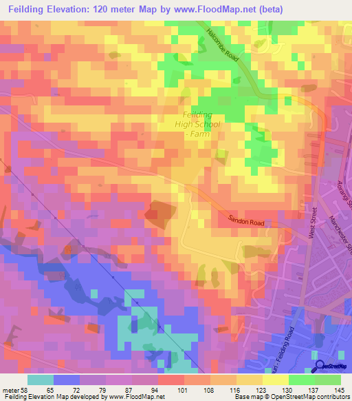 Feilding,New Zealand Elevation Map