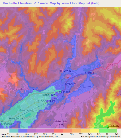 Birchville,New Zealand Elevation Map