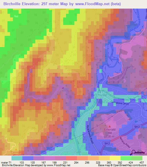 Birchville,New Zealand Elevation Map