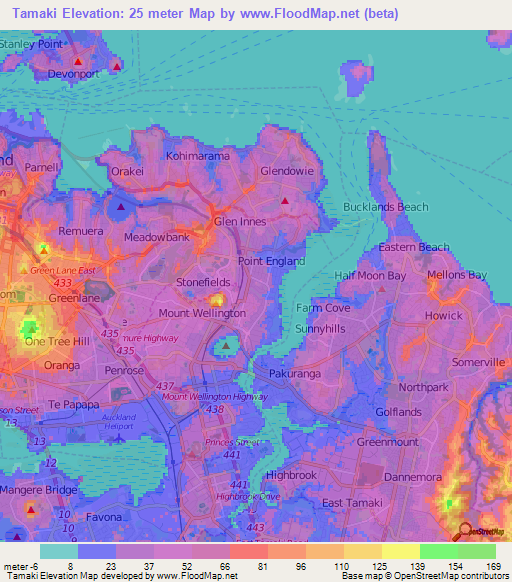 Tamaki,New Zealand Elevation Map