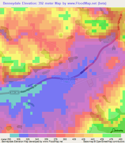 Benneydale,New Zealand Elevation Map