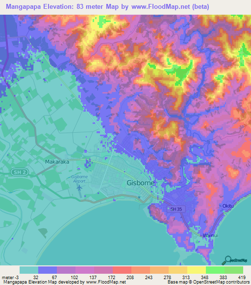 Mangapapa,New Zealand Elevation Map