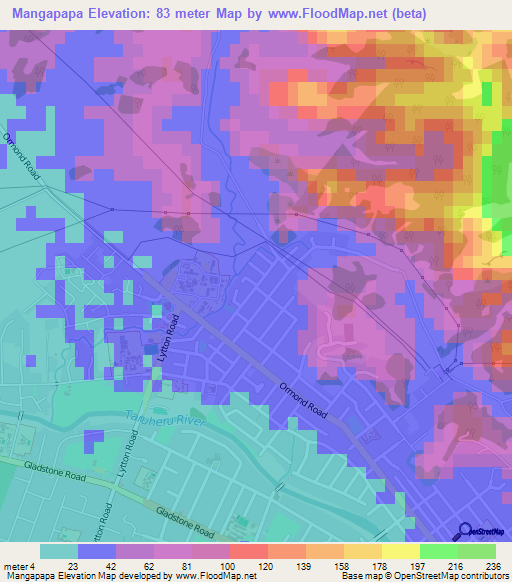 Mangapapa,New Zealand Elevation Map