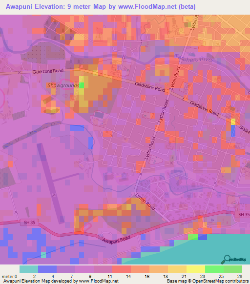 Awapuni,New Zealand Elevation Map