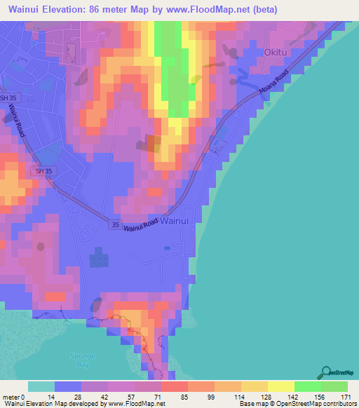 Wainui,New Zealand Elevation Map