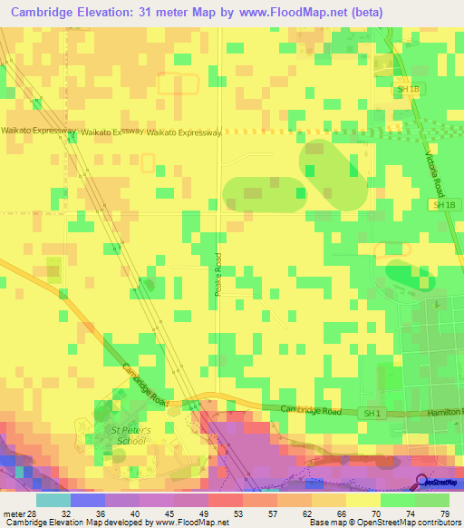 Cambridge,New Zealand Elevation Map