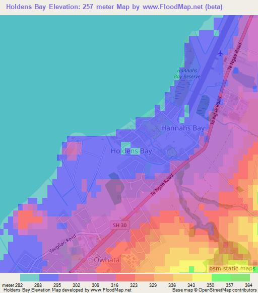 Holdens Bay,New Zealand Elevation Map