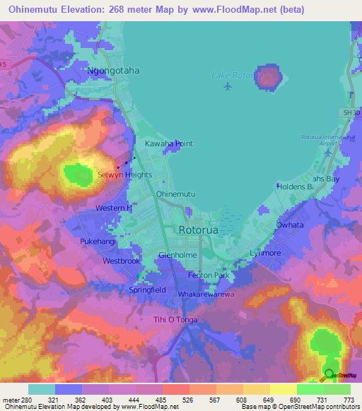 Ohinemutu,New Zealand Elevation Map