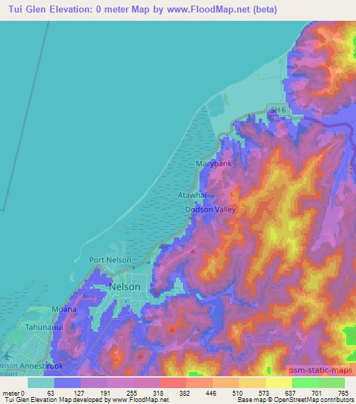 Tui Glen,New Zealand Elevation Map