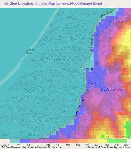 Tui Glen,New Zealand Elevation Map